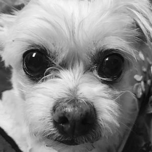 Meet your Posher, Cathy